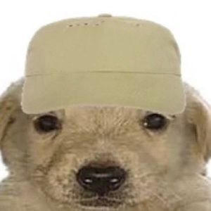 Meet your Posher, Marisa